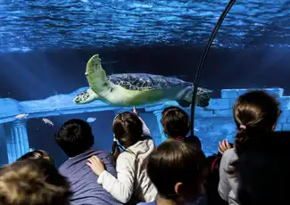 SEA LIFE Porto: Annual Pass, Porto, Portugal, Porto Pass.