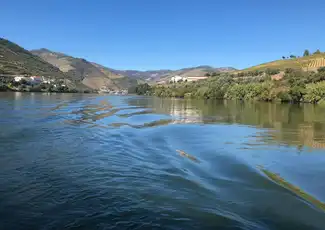 Douro Valley: Vineyard Tour, Tasting, Boat Ride + Lunch, Porto, Portugal, Porto Pass.