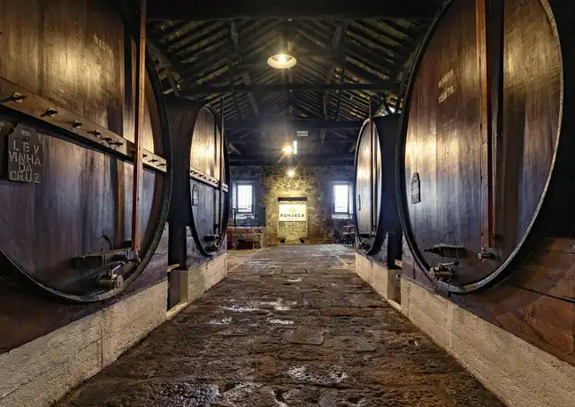Fonseca Port Cellar, Πόρτο, Πορτογαλία, Porto Pass.