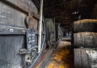 Porto Wine Tasting: Burmester Wine Cellars, Vila Nova de Gaia, Portugal, Porto Pass.
