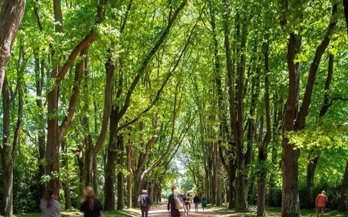 Serralves Park: Entry Ticket and Treetop Walk, Porto, Portugal, Porto Pass.