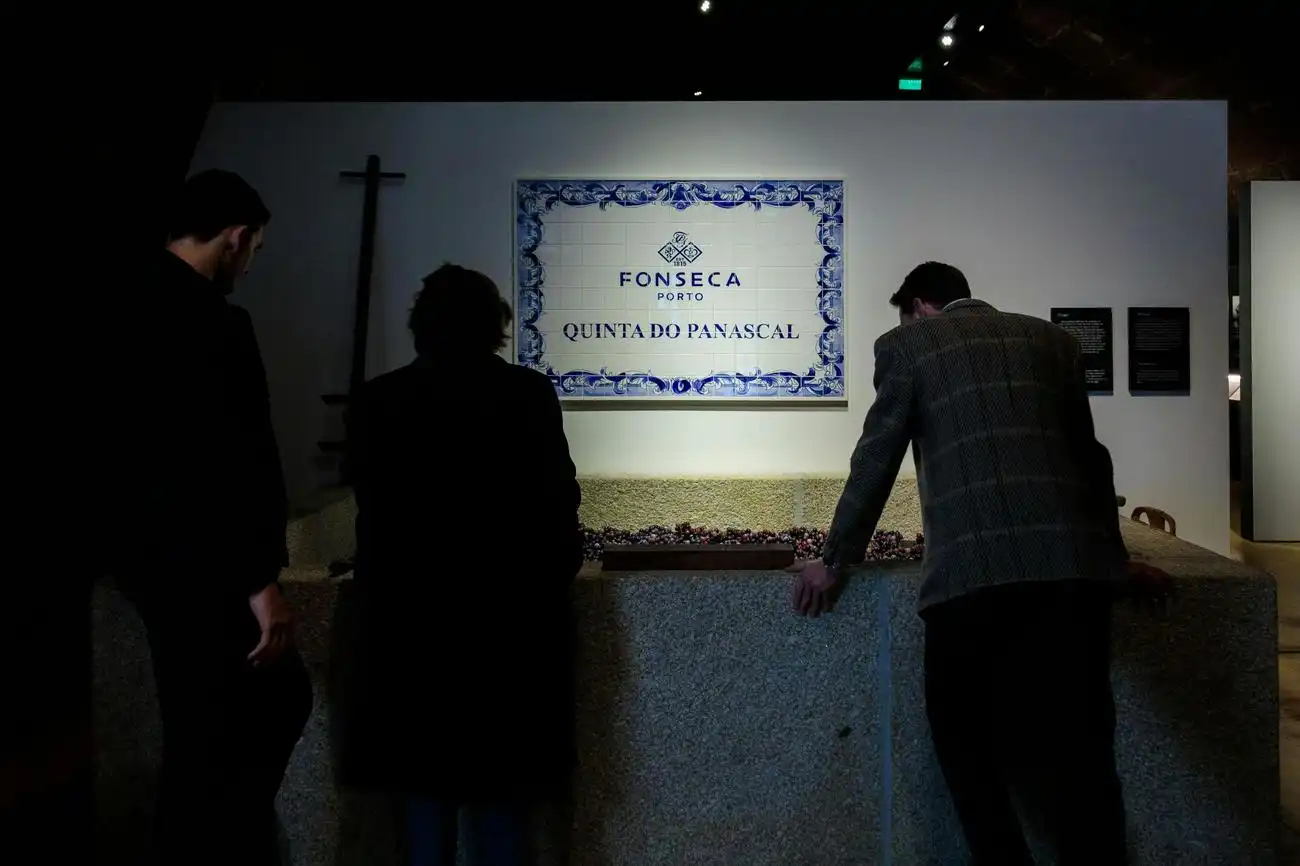 Porto: Cellar Tour, Tasting & Fado Show at Fonseca + Dinner, Porto, Portugal, Porto Pass.