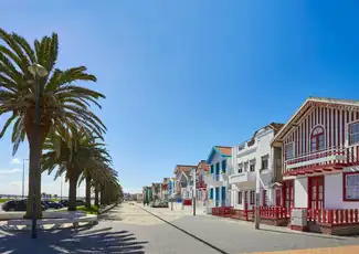 Aveiro & Costa Nova Half-Day Tour from Porto, Porto, Portugal, Porto Pass.