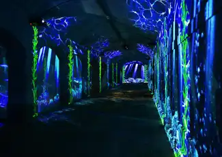 Porto Legends: The Underground Experience, Porto, Portugal, Porto Pass.