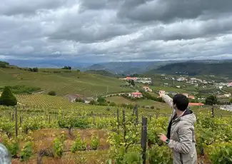Douro Valley: Day Trip from Porto + River Cruise + Lunch, Porto, Portugal, Porto Pass.