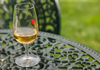 Taylor's Cellar & The Wine Experience: Tour + Tasting, Vila Nova de Gaia, Portugal, Porto Pass.
