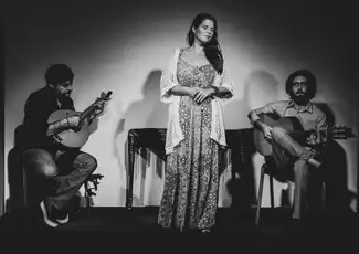 Porto: Fado na Baixa, Porto, Portugal, Porto Pass.