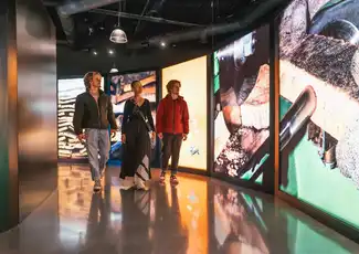 Planet Cork, Portugal at WOW Porto: Skip The Line, Vila Nova de Gaia, Portugal, Porto Pass.