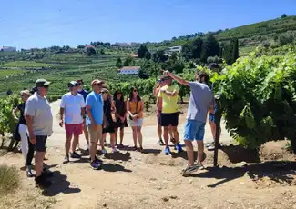 Douro Valley: Guided Day Trip from Porto + Wine Tasting + River Cruise, Porto, Portugal, Porto Pass.