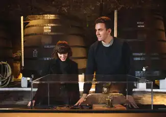Fonseca: Guided Cellar Tour + Wine Tasting + Fado Show, Porto, Portugal, Porto Pass.