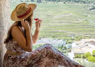 Douro Valley: Vineyard Tour, Tasting, Boat Ride + Lunch, Porto, Portugal, Porto Pass.