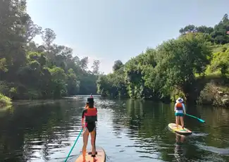 Standup Paddle Paiva River Tour from Porto with Transfer, Porto, Portugal, Porto Pass.